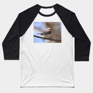 Yellow rumped Warbler Baseball T-Shirt